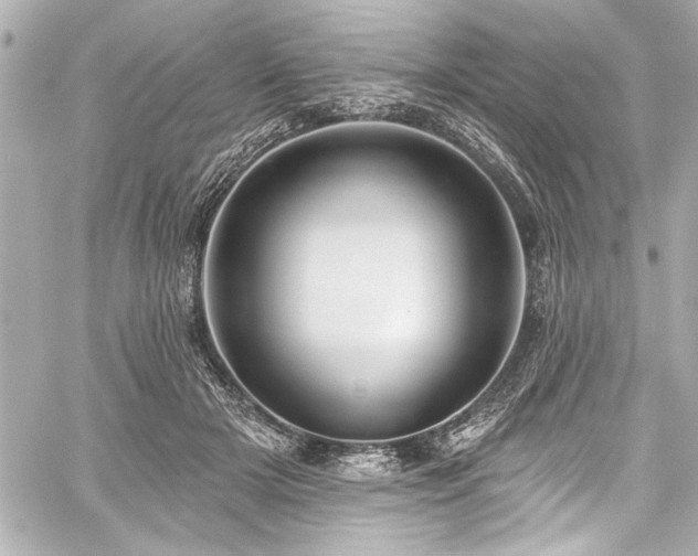 X0000059100505200510101222