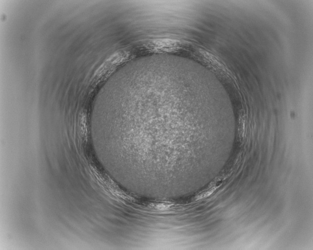 X0000059100506200510101222