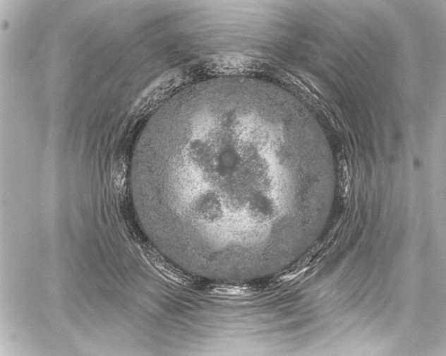 X0000059100507200510101222