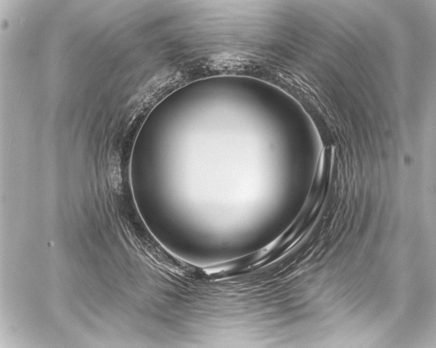 X0000059100508200510101222