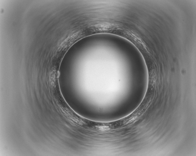 X0000059100509200510101222