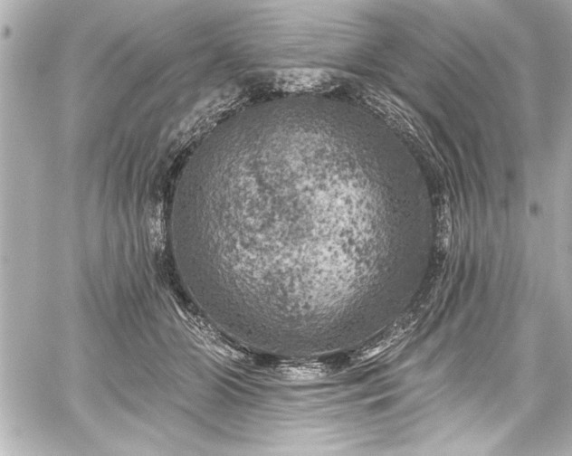 X0000059100510200510101222