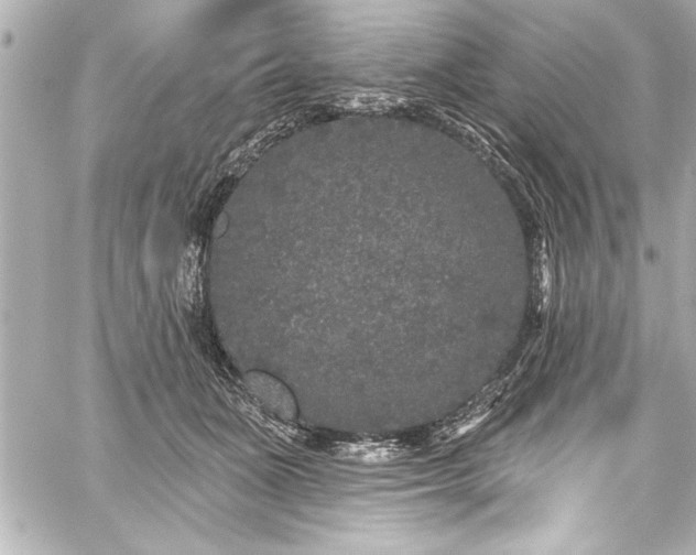 X0000059100511200510101222