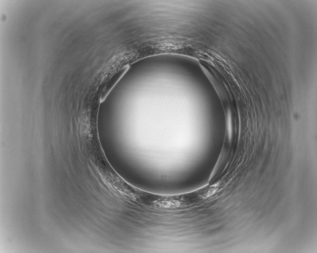 X0000059100512200510101222