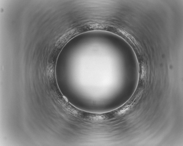 X0000059100513200510101222