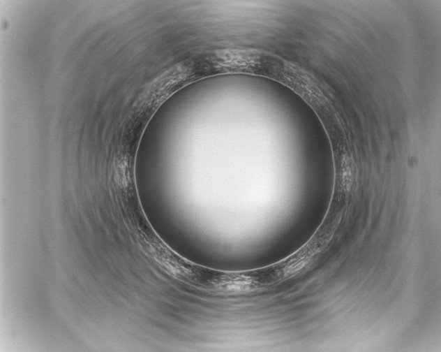 X0000059100514200510101222