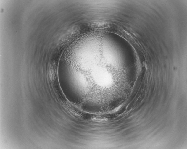 X0000059100515200510101222