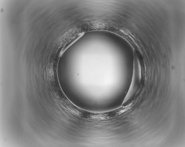 X0000059100516200510101222