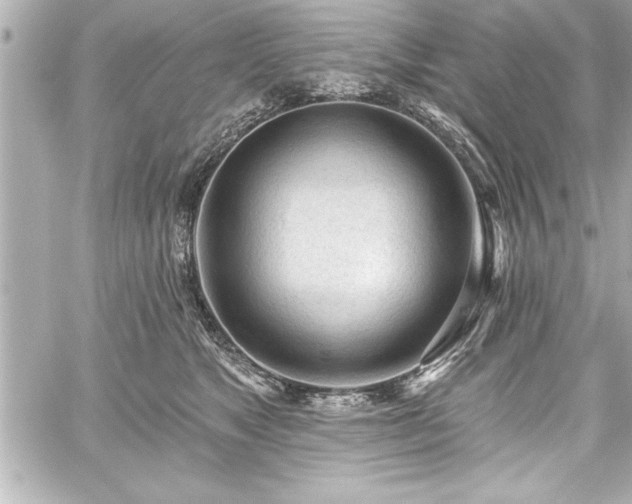 X0000059100517200510101222