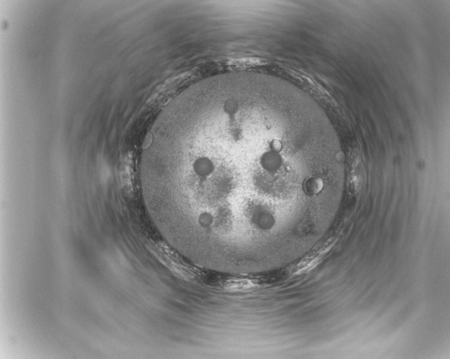 X0000059100519200510101222