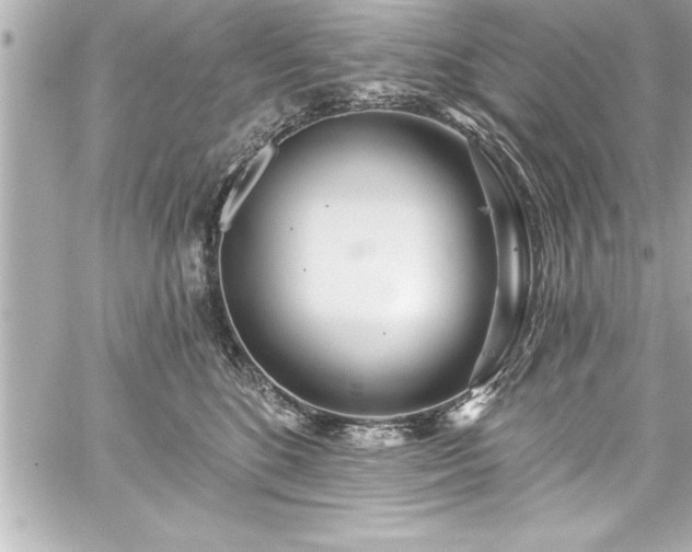 X0000059100520200510101222