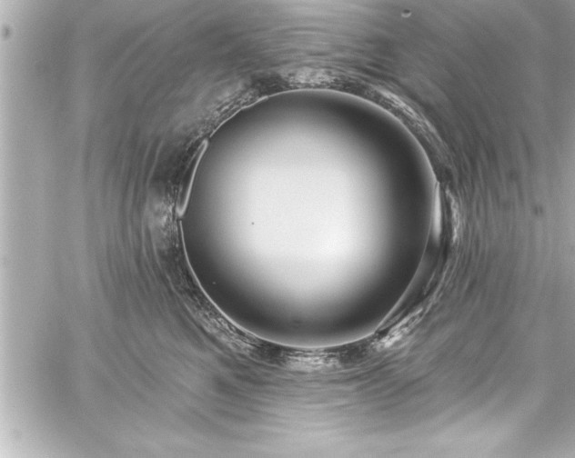 X0000059100521200510101222