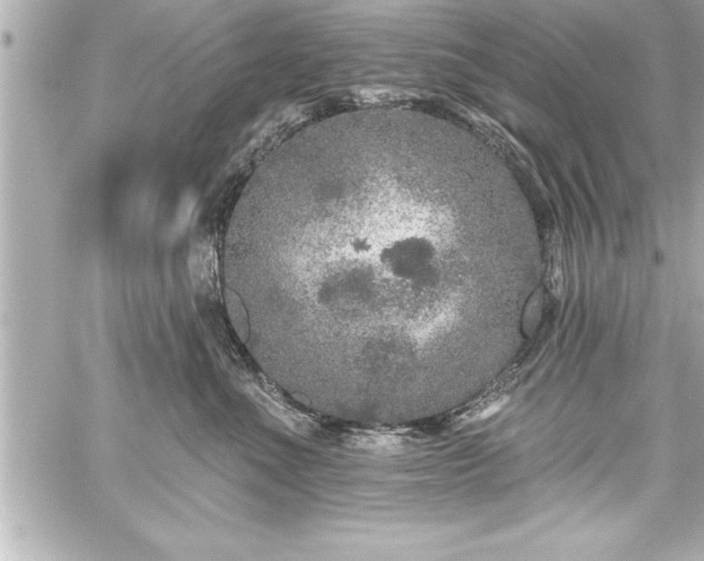 X0000059100523200510101222