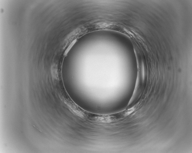 X0000059100524200510101222