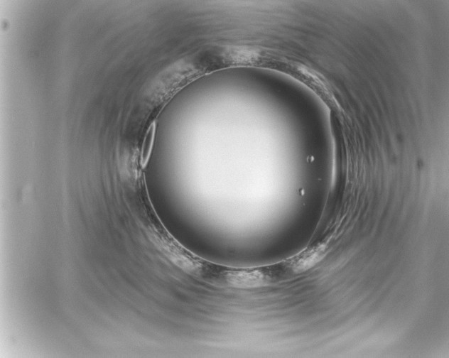 X0000059100525200510101221