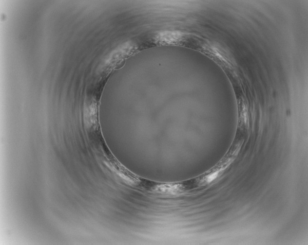 X0000059100526200510101221