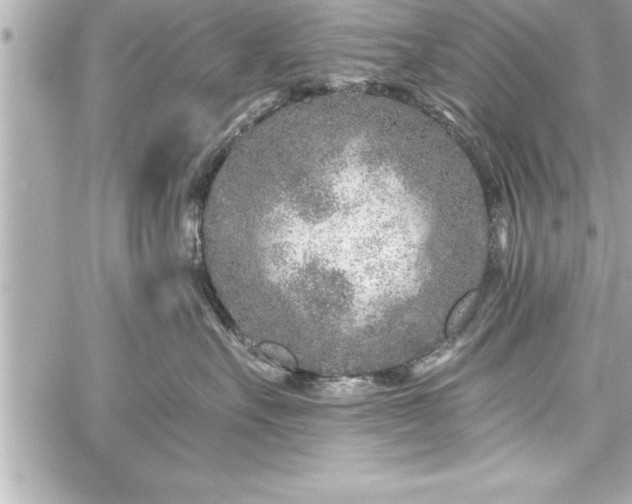 X0000059100527200510101221