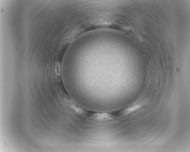 X0000059100528200510101221