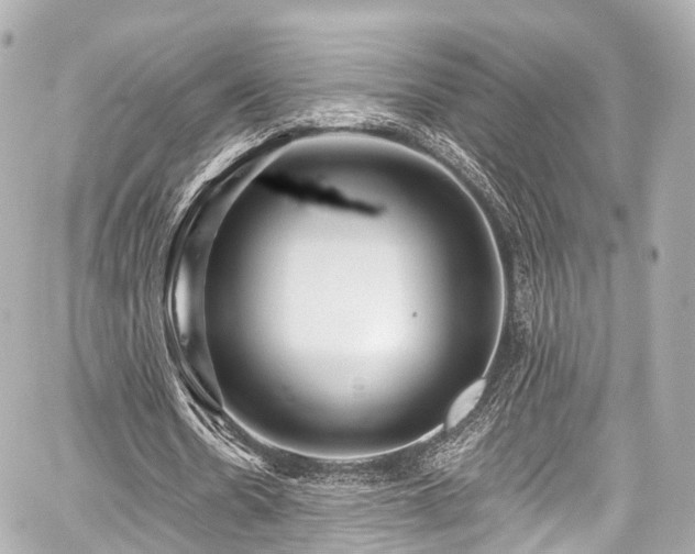 X0000059100530200510101221