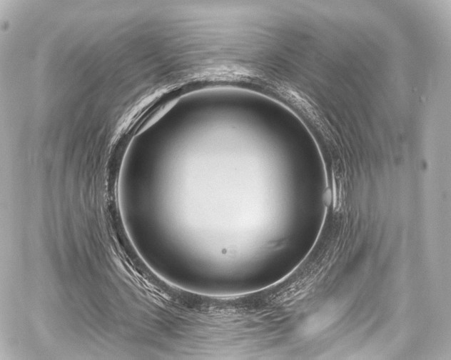 X0000059100531200510101221