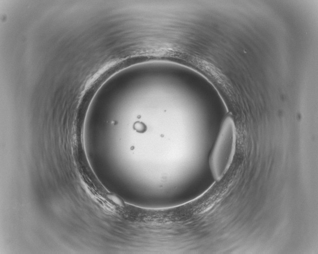 X0000059100532200510101221