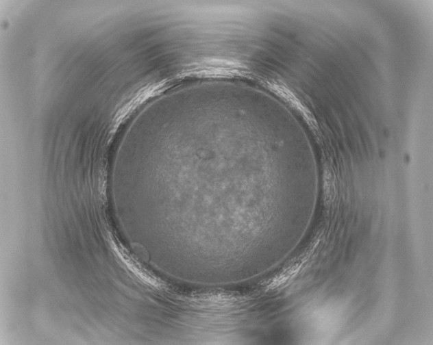 X0000059100533200510101221