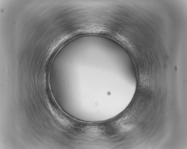 X0000059100534200510101221