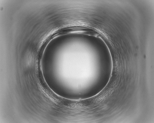 X0000059100535200510101221