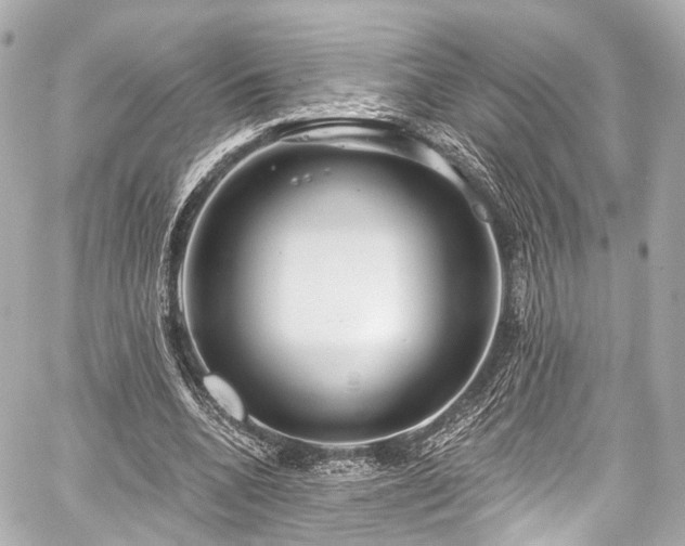 X0000059100536200510101221