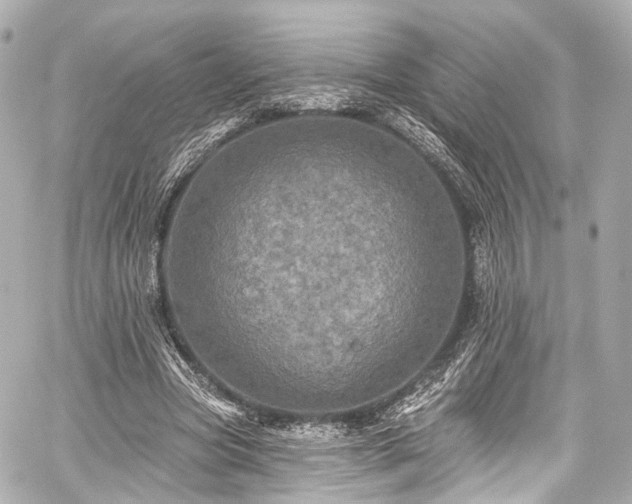 X0000059100537200510101221