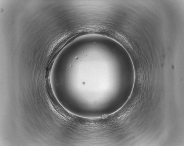 X0000059100538200510101221