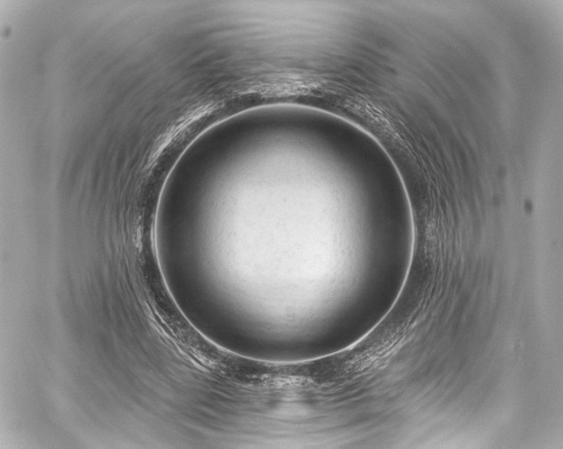 X0000059100539200510101221