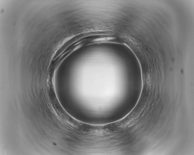 X0000059100540200510101221