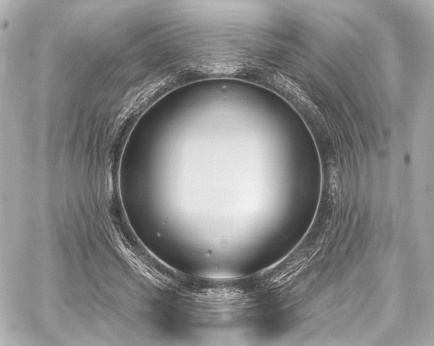 X0000059100541200510101221