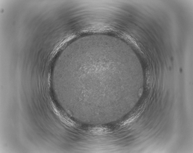 X0000059100542200510101221