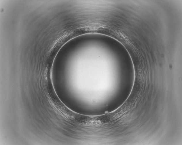 X0000059100543200510101221