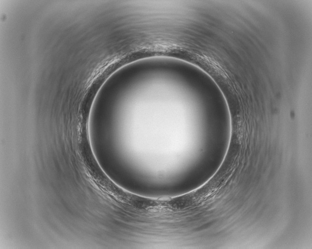 X0000059100544200510101221