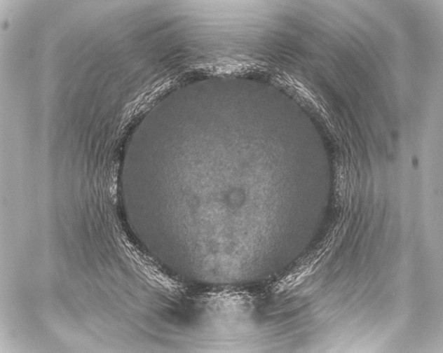 X0000059100545200510101221