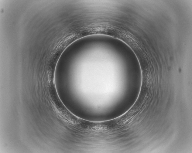 X0000059100546200510101221