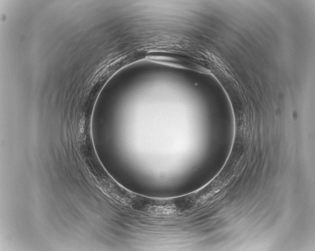 X0000059100548200510101221