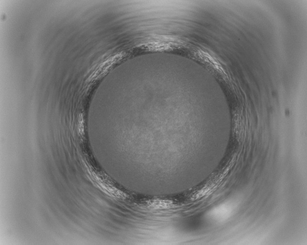 X0000059100549200510101221