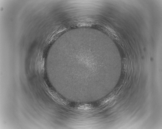 X0000059100550200510101221