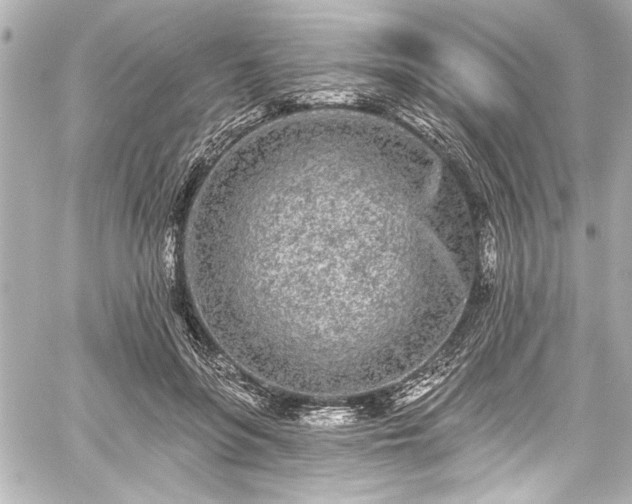 X0000059100551200510101221