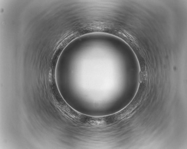 X0000059100552200510101221