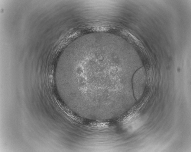 X0000059100553200510101221