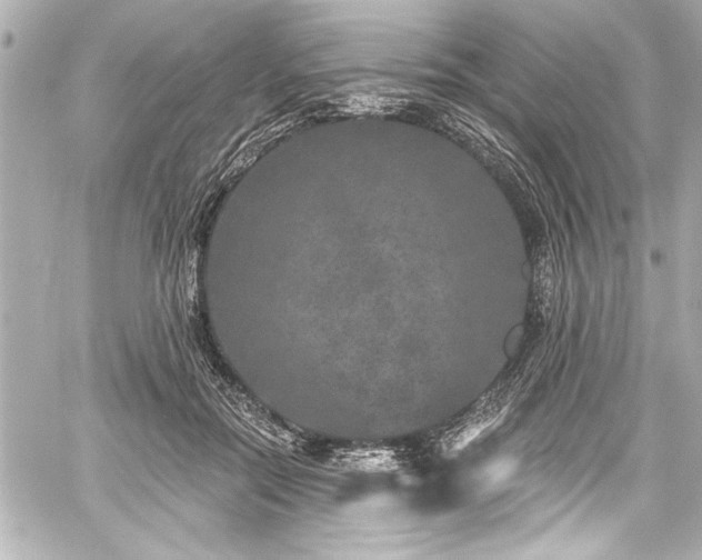 X0000059100554200510101221