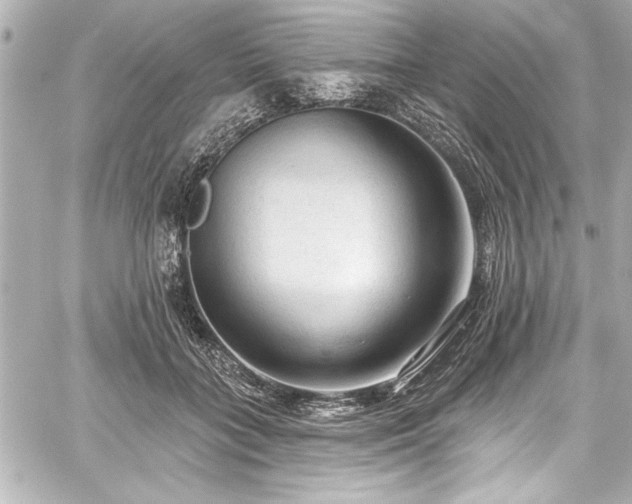 X0000059100555200510101221