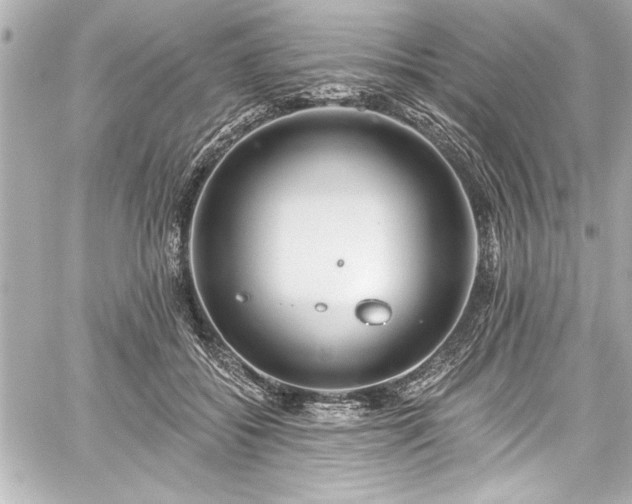 X0000059100556200510101221