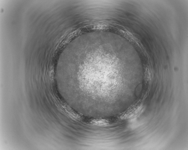 X0000059100557200510101221