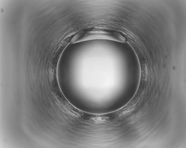 X0000059100558200510101221